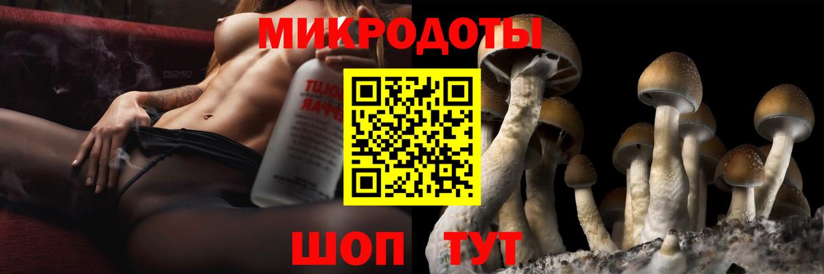 где продают   Галлюциногенные грибы Psilocybine cubensis  Вход с VPN  Павлово 